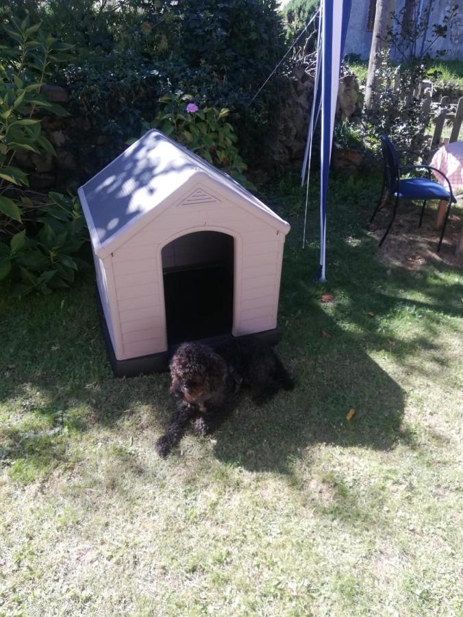 Acogedor Chalet De Tres Habitaciones En El Valle De Cabuerniga, Ideal Familias Grupos Y Mascotas Somos Pet Friendly, Estancia Minima Dos Noches Lamina المظهر الخارجي الصورة